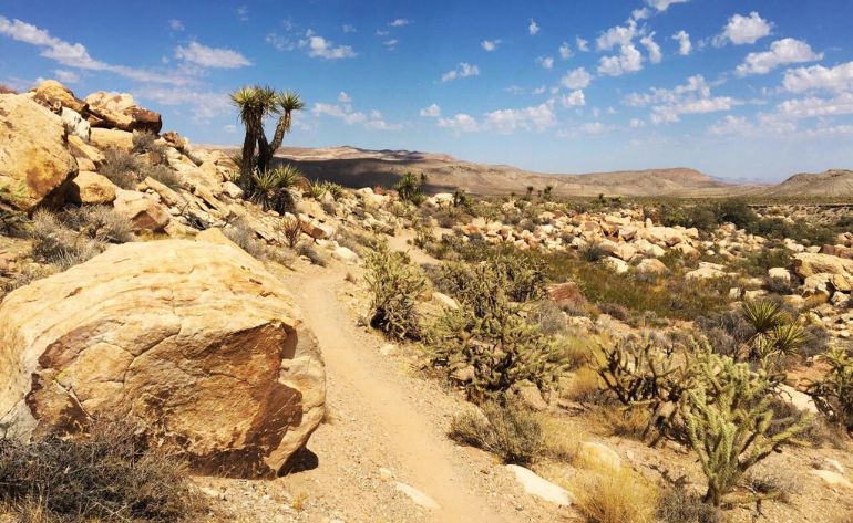 Off-road Desert Adventure in Las Vegas