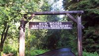 San Francisco Luxury Coach Tour Woods