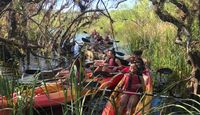 Kayak or Canoe Eco Tour, Mangrove Tunnel - 3 Hours