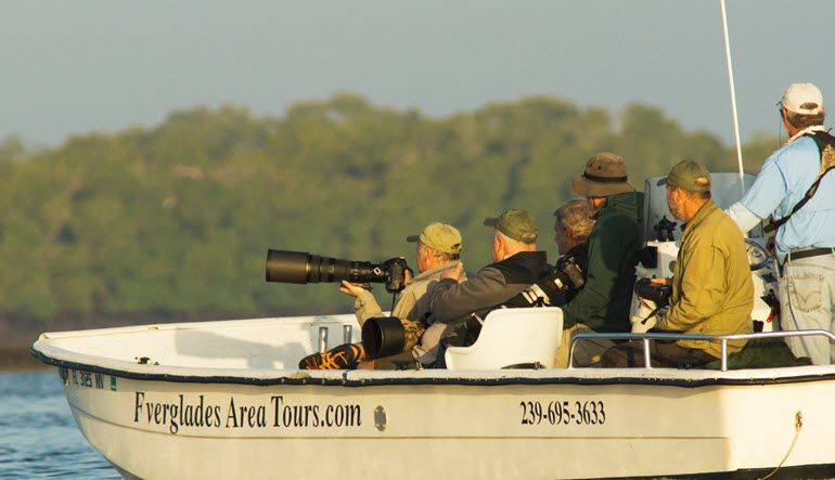 Guided Power Boat Dolphin and Wildlife Tour - Florida Everglades