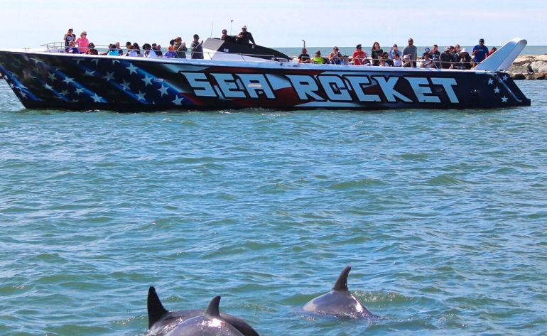 Speed Boat & Dolphin Cruise, Ocean City - 45 Minutes