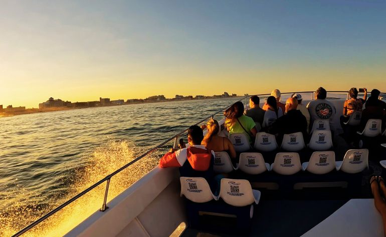 Speed Boat & Dolphin Cruise, Ocean City - 45 Minutes