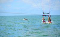 Parasailing, Bradenton Beach - 10 Minutes Flight