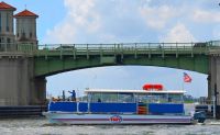 Dolphin Watch and Landmark Tour, St. Augustine - 1.5 Hours