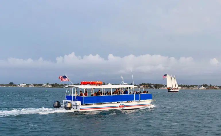 Dolphin Watch and Landmark Tour, St. Augustine - 1.5 Hours