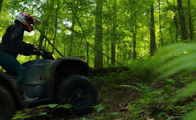 ATV Tour West Virginia, New River Gorge - 3 Hours