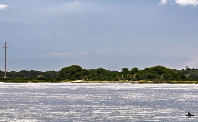 Dolphin Watch and Harbor Sail, St. Augustine - 90 Minutes