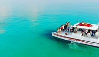 Key West Day Cruise, Dolphin and Snorkel Experience - 3 Hours