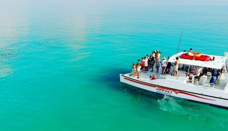 Key West Day Cruise, Dolphin and Snorkel Experience - 3 Hours