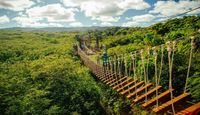 Zipline Oahu Bridge