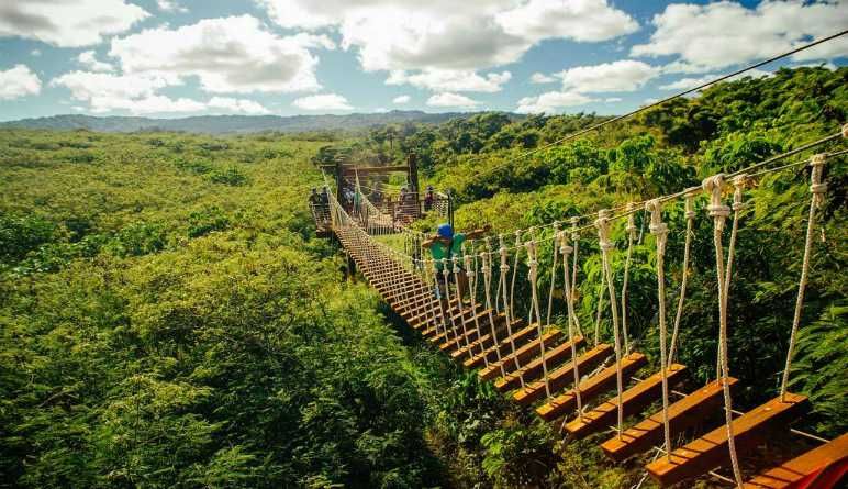 Zipline Oahu Bridge