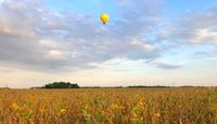Hot Air Balloon Ride Indianapolis - 1 Hour Flight Fields