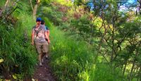 Beginners Guided Hike Oahu Walk Way