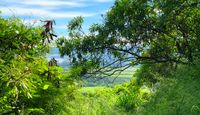 Intermediate Guided Hike Oahu Through The Trees