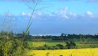 Beginners Guided Hike Oahu Landscape