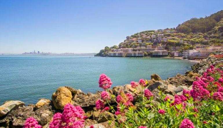 San Francisco Bus Tour, 2 Day Hop-On-Hop-Off Tour