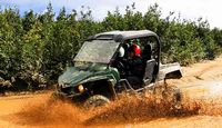 Two-Rider UTV Guided Tour Denali Wilderness - 90 Mins (Denali Shuttle Available!)