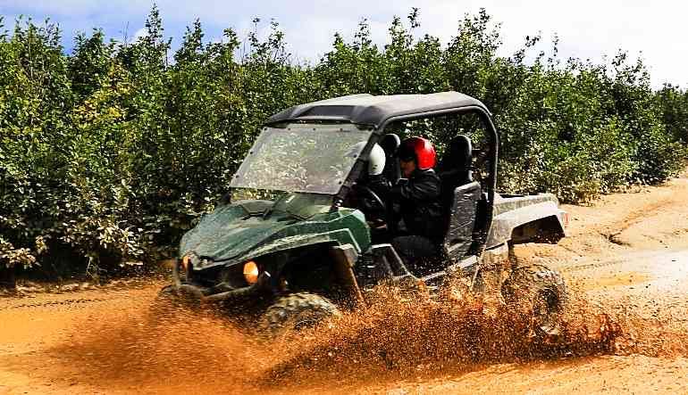 Two-Rider UTV Guided Tour Denali Wilderness - 90 Mins (Denali Shuttle Available!)