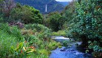Helicopter Tour Maui, Hana Rainforest Flight hawaii helicopter ride waterfalls