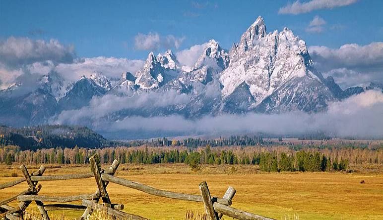 Private Jackson Hole Wildlife Full Day Safari, Grand Teton National Park