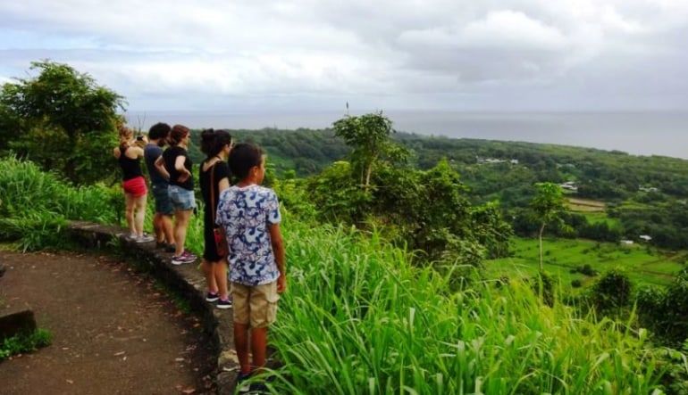 Luxury Road To Hana Waterfalls and Lunch - Full Road