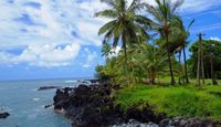 Luxury Road To Hana Waterfalls and Lunch - Full Road