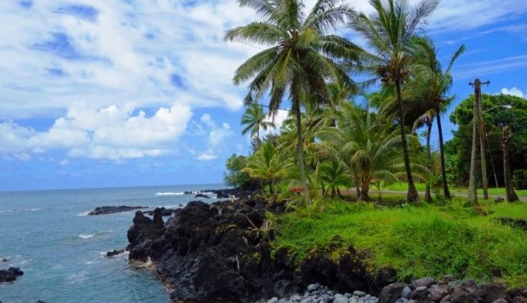 Luxury Road To Hana Waterfalls and Lunch - Full Road
