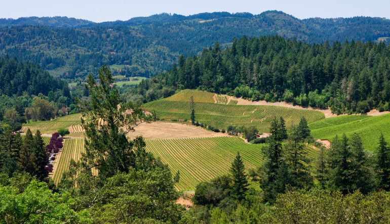 Scenic Plane Tour Napa Valley Wine Country Flight for 2 - 1.5 Hours