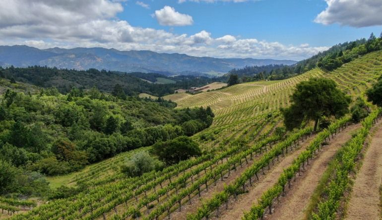 Scenic Plane Tour Napa Valley Wine Country Flight for 2 - 1.5 Hours