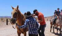 wild west trail ride adventures on horseback