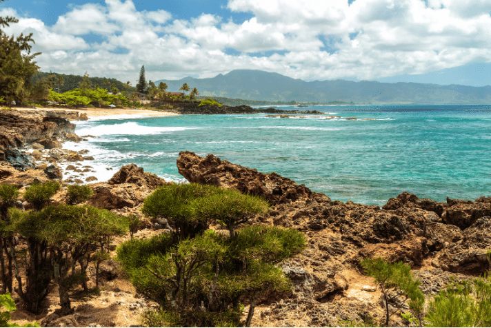 Oahu Self Guided Driving Walking Tour