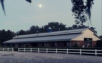 Horseback Riding Orlando, Interactive Evening Experience - 30 Mins