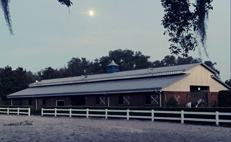 Horseback Riding Orlando, Interactive Evening Experience - 30 Mins