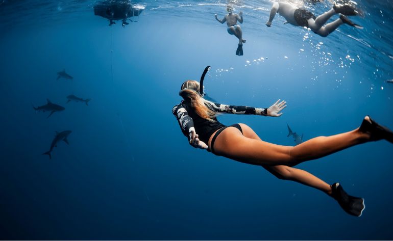 Shark Cageless free Dive Oahu Hawaii North Shore shark swimming encounter