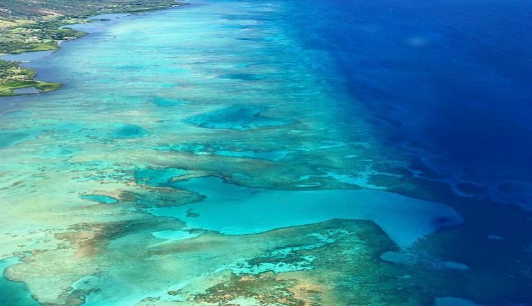Air Maui Helicopter Tour Reef Maui Hawaii Molokai ride