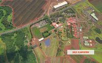 Oahu hawaii Complete circle Island Guided Tour dole pineapple plantation