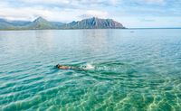 Oahu Hawaii Kayak and Reef Tour Kaneohe Bay	snorkel