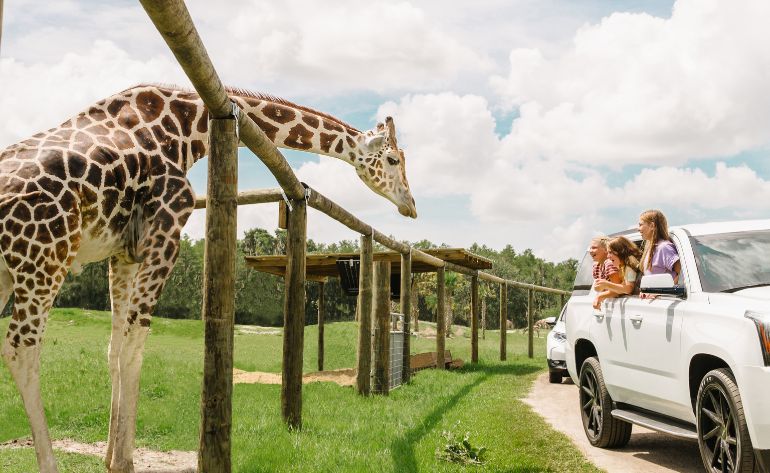 Everglades Package including 1hr Airboat Tour  - Orlando
