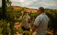 Sunset Winery Tour, Paso Robles - 1 Hour 30 Minutes