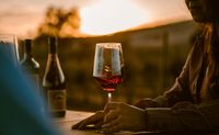 Cass Estate Vineyard Wine Tour, Paso Robles - 1 Hour