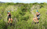 Zipline Tour at Coral Crater (6 Lines), Oahu - 2 Hours
