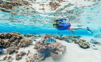 Cancun Snorkeling Tour from Playa Mujeres, Mexico - 4 Hours