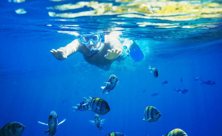 Cancun Snorkeling Tour from Playa Mujeres, Mexico - 4 Hours