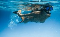 Cancun Snorkeling Tour from Playa Mujeres, Mexico - 4 Hours