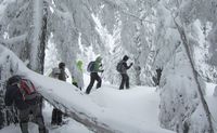 Snow Day of Play Snowmobile and Snowshoe Adventure, Alaska - 4 Hours