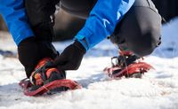 Snow Day of Play Snowmobile and Snowshoe Adventure, Alaska - 4 Hours