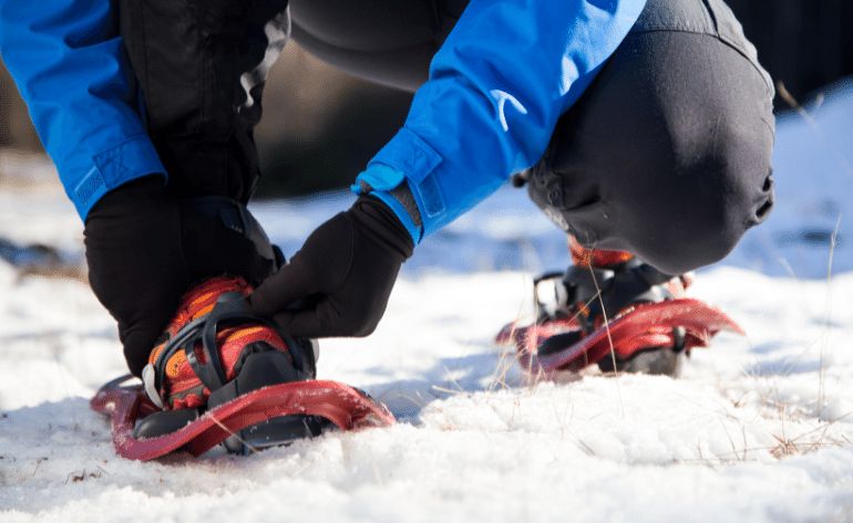 Snow Day of Play Snowmobile and Snowshoe Adventure, Alaska - 4 Hours