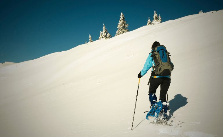 Snow Day of Play Snowmobile and Snowshoe Adventure, Alaska - 4 Hours