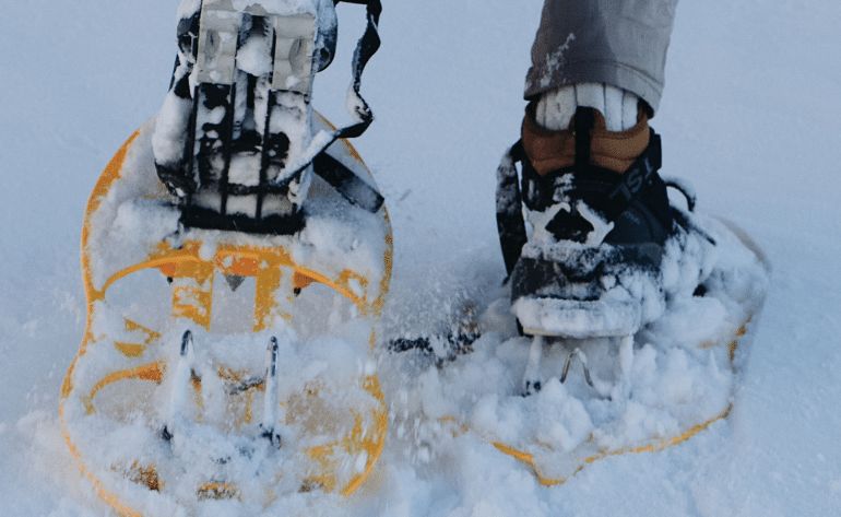 Guided Snowshoeing Adventure from Seward, Alaska - 6 Hours