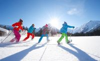 Guided Snowshoeing Adventure from Seward, Alaska - 6 Hours
